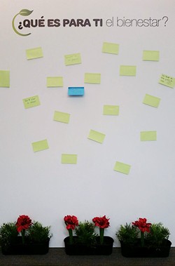 bienestar-wowness-gran-consumo