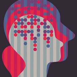 Blogosfera diciembre