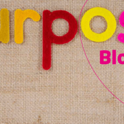 Blogosfera noviembre